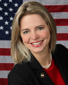 Cami Dean for Congress (Texas Congressional District 3 Election 2014)