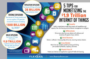 Flexera Software's 5 Tips for Monetizing the internet of Things