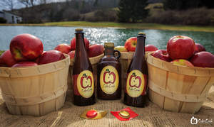 MA craft hard cider, NY craft hard cider, craft cider