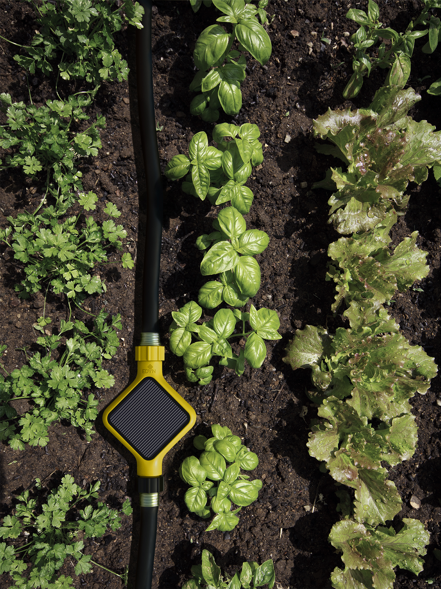 Edyn Smart Garden System Launches Kickstarter Campaign