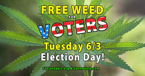 San Jose cannabis collectives are offering weed for votes June 3, 2014.