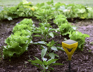 Edyn Garden Sensor