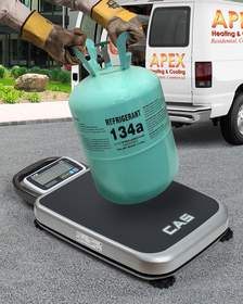 Alliance/CAS PB Series Portable Bench Scale