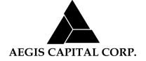 Image result for aegis capital corp logo