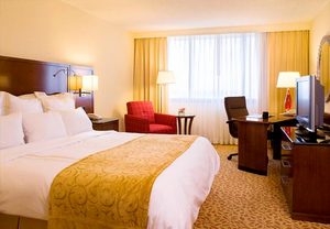 Hotels near Tampa airport