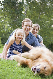 Dog playing in grass with family