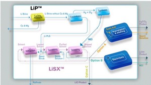 Results from the LiP(TM) and LiSX(TM) test