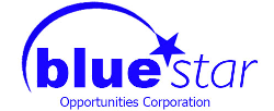 Blue Star Opportunities Corp.