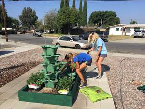 Mentored young women  work on a Sustainable Residential Garden in Garden Grove, Calif.