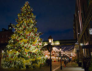 Toronto Distillery District Christmas Tree