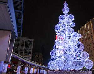 Toronto Dundas Square Christmas Tree