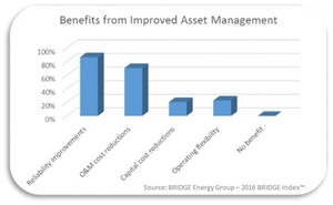 BRIDGE Energy Group,  Utilities, Work and Asset Management, survey results, grid