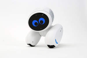 Say hi to Domgy, the world's first pet robot that will protect your home and play with your family.