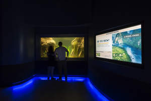 Magenium's DXNotifi Digital Signage at OdySea Aquarium