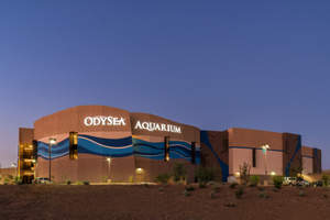 OdySea Aquarium in Arizona