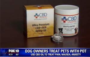 Phyto Bites soft CBD chews for Dogs