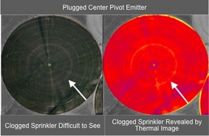 TerrAvion aerial imagery and data helps growers spot early-warning signs such as plant health issues and irrigation problems so they can take action before emerging problems become big ones.