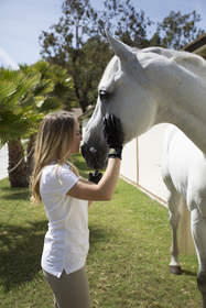 HandsOn Gloves, John Lyons, equine, America's Most Trusted Horseman, animals, pets, grooming, clean