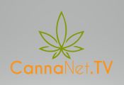 Innovativ Media Group, Inc.